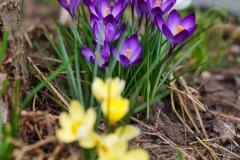 IMG_5839