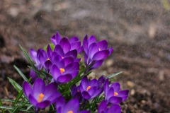 IMG_5899