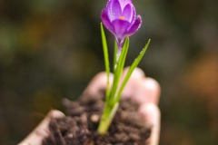 IMG_6091