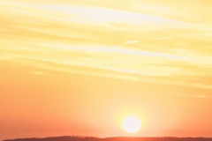 IMG_6387