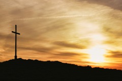 IMG_6433