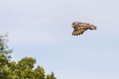 AF_20250618_151338_1R2A0056-scaled