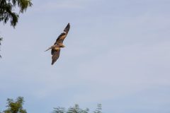 AF_20250618_153149_1R2A0206-scaled