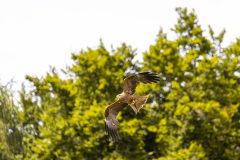 AF_20250618_153747_1R2A0259-scaled