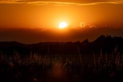 AF_20250702_210931_1R2A0383-scaled