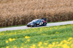 WRC (Bayerischer Wald - Oktober 2025)