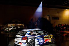 WRC (Bayerischer Wald - Oktober 2025)