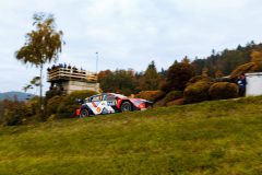 WRC (Bayerischer Wald - Oktober 2025)