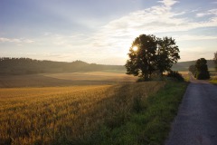 IMG_2620