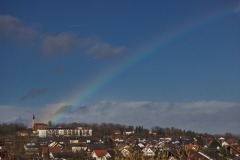 IMG_7020