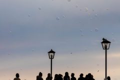 AF_20250707_204524_1R2A0553-scaled