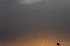 AF_20250707_205620_1R2A0583-scaled